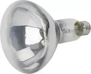 Лампа ЭРА накаливания ИКЗ 220-250 R127 E27