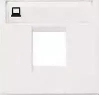 Лицевая панель ABB Zenit розетки компьютерной альпийский белый (2CLA221810N1101)