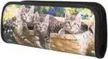 Пенал BRAUBERG косметичка школьный с эффектом 3D, пластик, Котята, 22х10х5 см, 227300