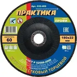 Круг шлифовальный ПРАКТИКА 180х22 мм Р 60 (032 - 409)