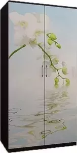 Шкаф Миф 2-х ств. Орхидея, с фотопечатью ПВХ