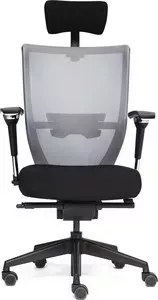 Кресло офисное TetChair AMIR-3 черный/серый OH205/OH217