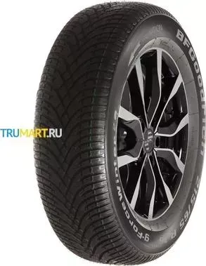 Шина BFGoodrich G-Force Winter 2 SUV 215/65R16 102H XL TL