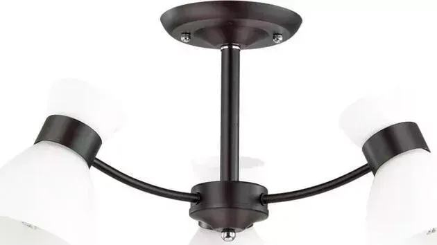 Люстра Lumion Потолочная Wilma 4534/3C