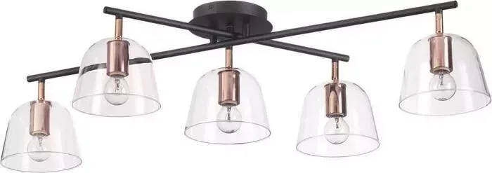 Люстра Lumion Потолочная Joseph 4455/5C