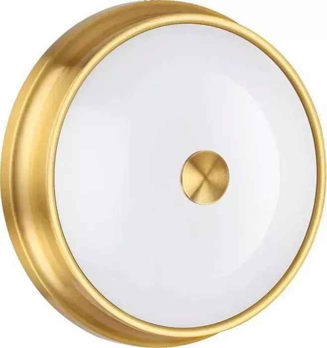 Светильник ODEON LIGHT Настенно-потолочный Marsei 4824/3C