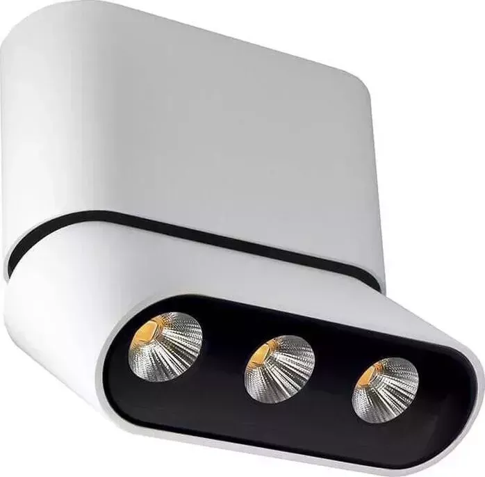 Светодиодный спот Lumien Hall Фергус 8005/3CS-WT-BK