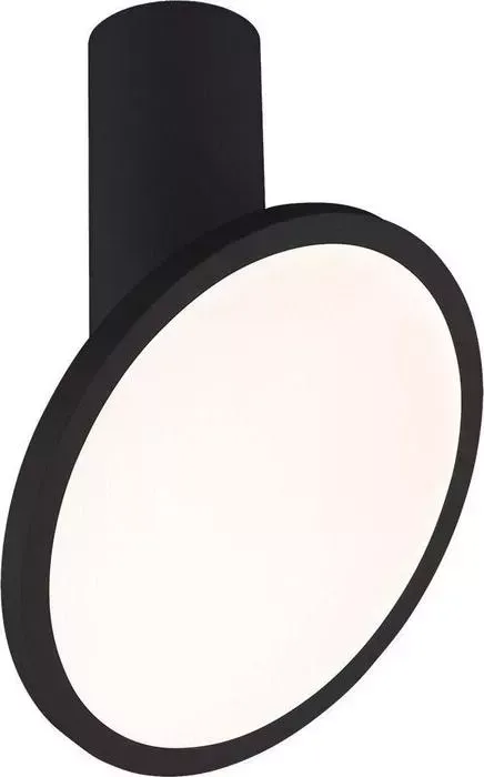 Светодиодный спот Elektrostandard Brain DLS029 12W 4200K черный матовый 4690389149078