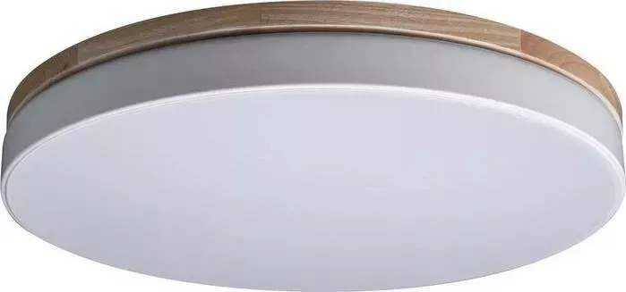 Светильник Loft IT Потолочный светодиодный Axel 10001/36 white