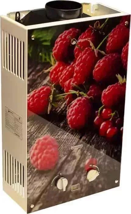 Водонагреватель WERT Газовый проточный 10EG BERRY