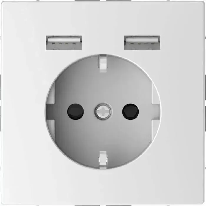 Розетка Schneider Electric компьютерная USBx2 Merten D-Life MTN2366-6035