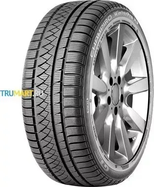 Шина GT Radial Champiro WinterPRO HP 225/55R17 101V XL TL