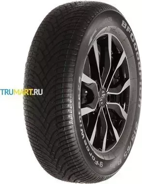 Шина BFGoodrich G-Force Winter 2 SUV 215/65R17 99H TL