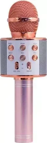 Микрофон Magic Acoustic MA3001RGD