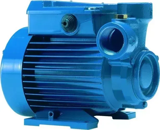 Насос поверхностный Calpeda CTM 61