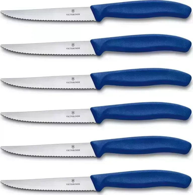 Набор ножей Victorinox Swiss Classic 6шт синий (6.7232.6)