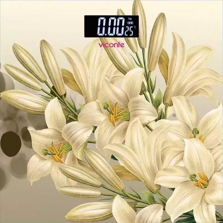 Весы напольные VICONTE VC-526-02
