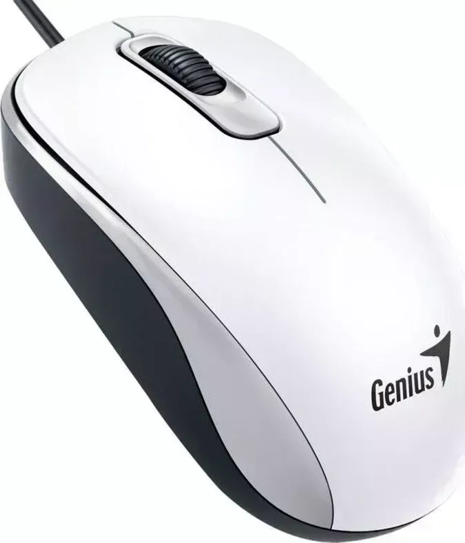 Мышь компьютерная GENIUS DX-110 белый USB