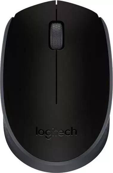 Мышь компьютерная LOGITECH M171 Black (910-004424)