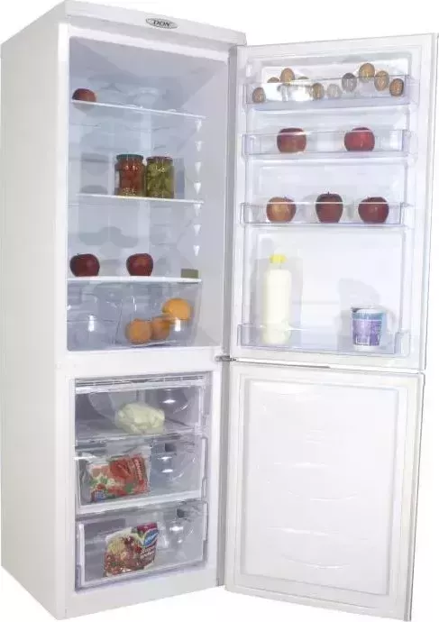 Холодильник DON R 290 Снежная королева (К)