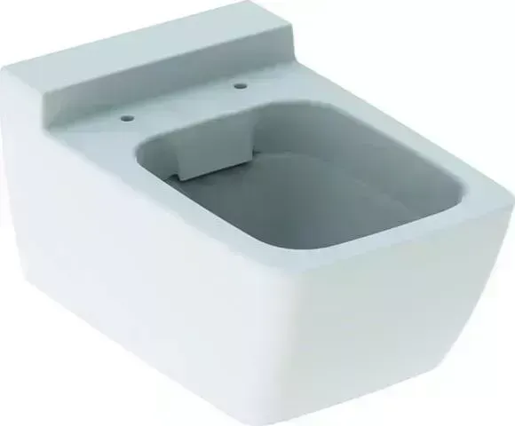 Унитаз Geberit Xeno? 500.500.01.1