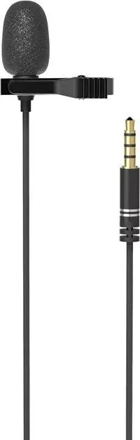 Микрофон RITMIX RCM-110 Black