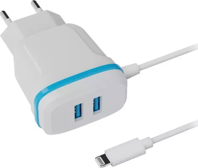 Сетевое зарядное устройство RITMIX (СЗУ) RM-2082L