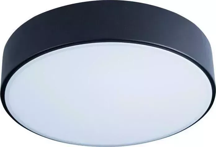 Светильник Loft IT Потолочный светодиодный Axel 10002/12 black