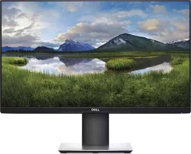 Монитор DELL P2421D