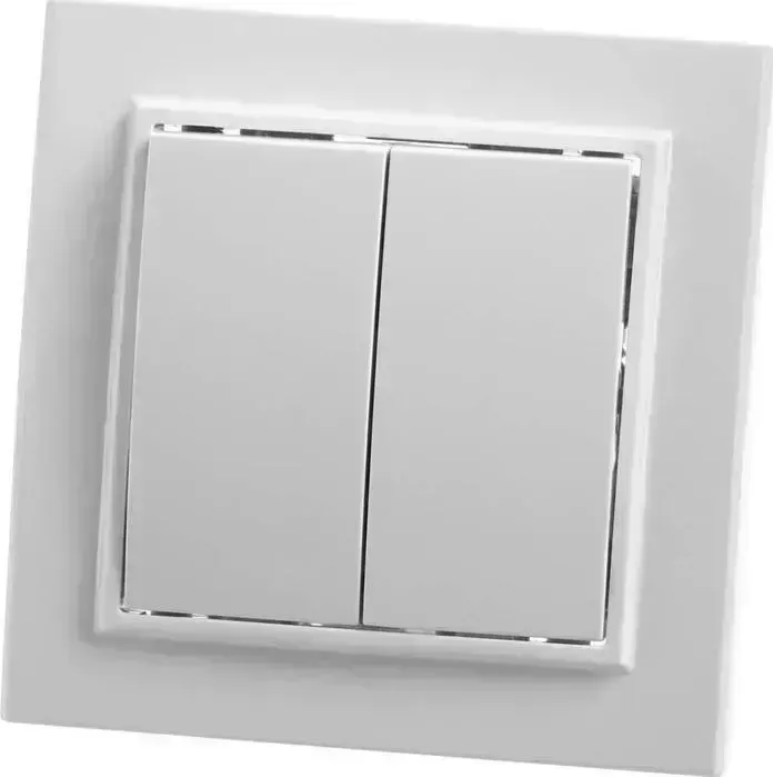 Выключатель FERON двухклавишный Stekker Эрна PSW10900401 39044