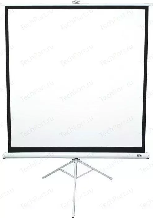 Экран Elite Screens T99NWS1