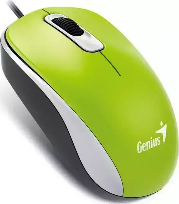Мышь компьютерная GENIUS DX-110 зеленый USB