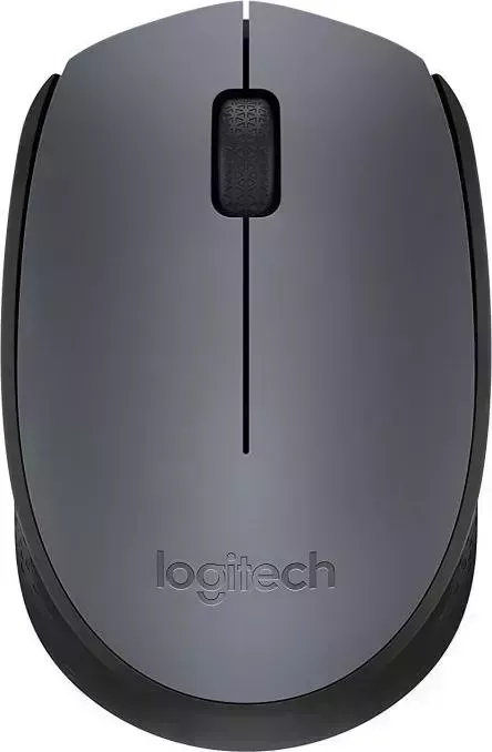 Мышь компьютерная LOGITECH M170 серый/черный USB (910-004642)