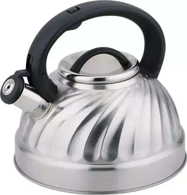 Чайник для плиты Alpenkok AK-500/1