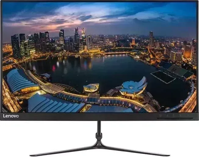 Монитор LENOVO ThinkVision L24i-10 черный