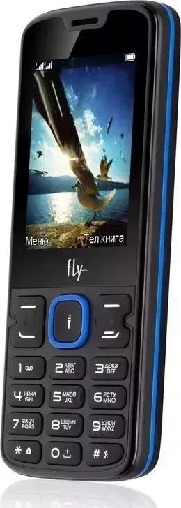 Смартфон FLY FF 250 BLACK BLUE