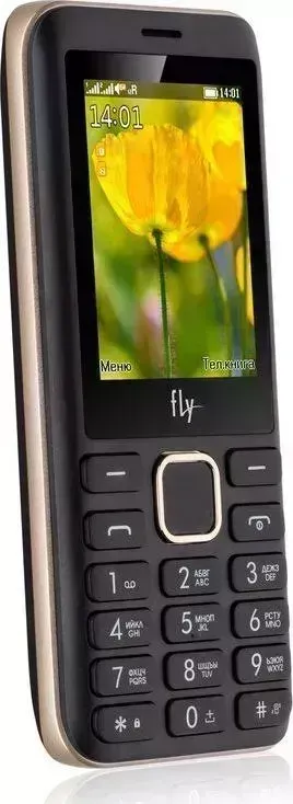 Смартфон FLY FF249 CHAMPAGNE