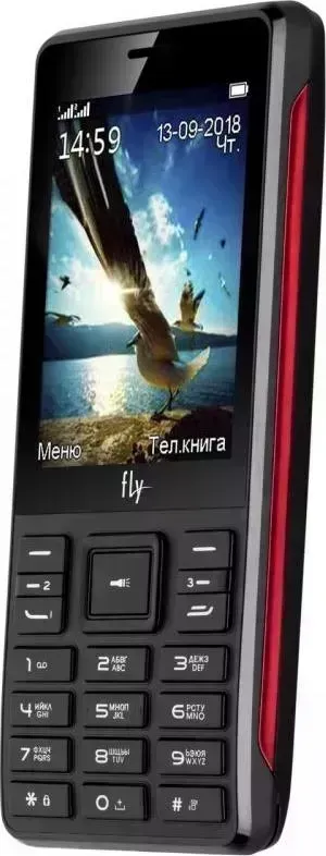 Мобильный телефон FLY TS114 BLACK