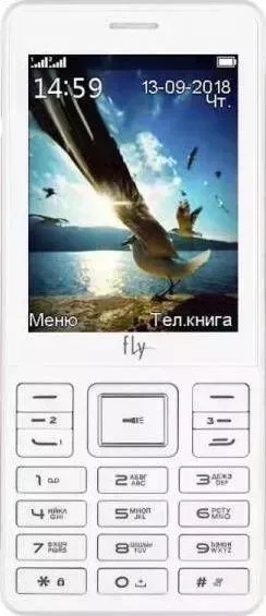 Мобильный телефон FLY TS114 WHITE