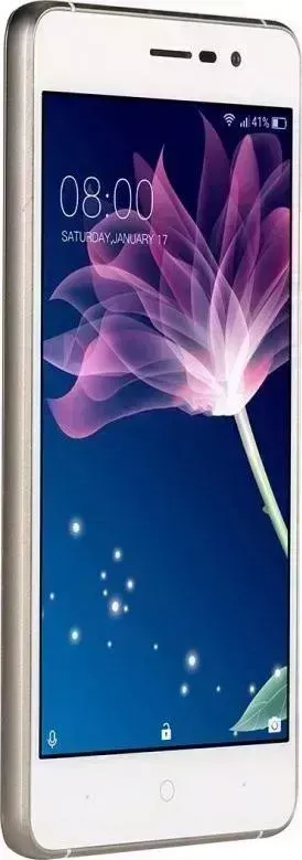 Смартфон Doogee X10 Gold