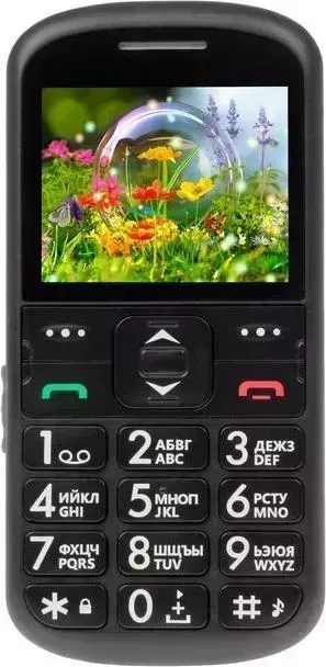 Смартфон GINZZU R12D черный