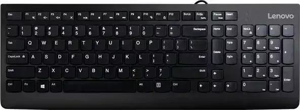 Клавиатура LENOVO 300 USB черный (gx30m39684)