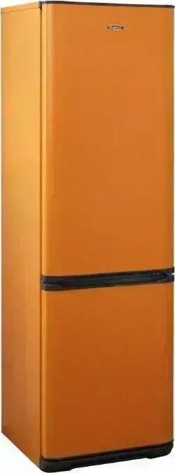 Холодильник БИРЮСА T 360 NF