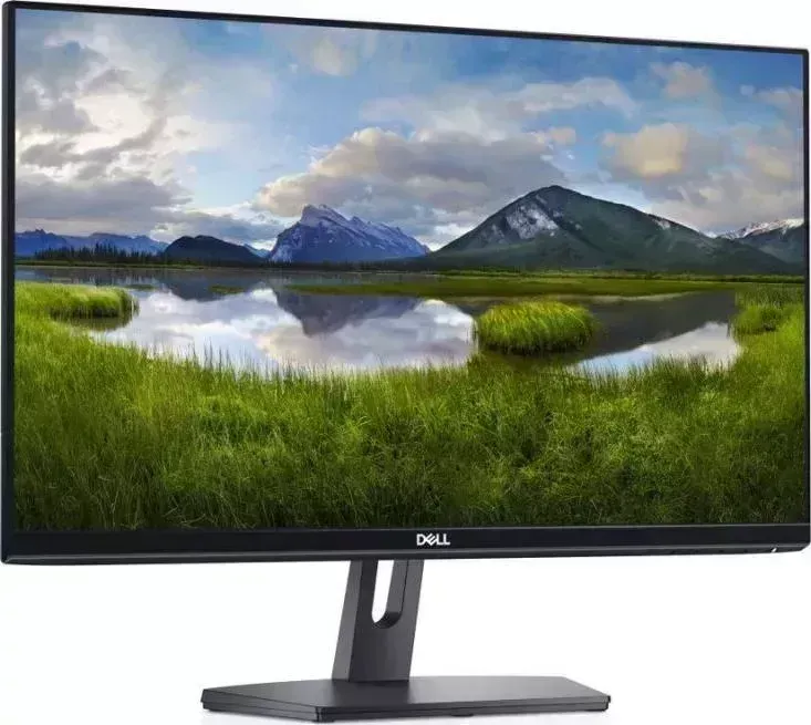 Монитор DELL SE2419H