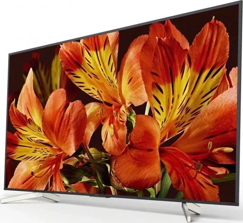 Телевизор SONY KD-49XF8596