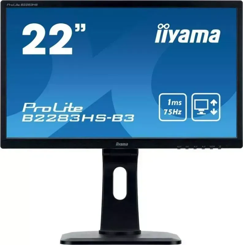 Монитор IIYAMA ProLite B2283HS-B3