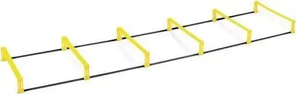 Скоростные барьеры SKLZ 2-в-1 Elevation Ladder