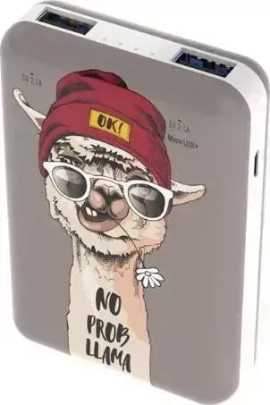 Внешний аккумулятор RITMIX RPB-10007 Lama