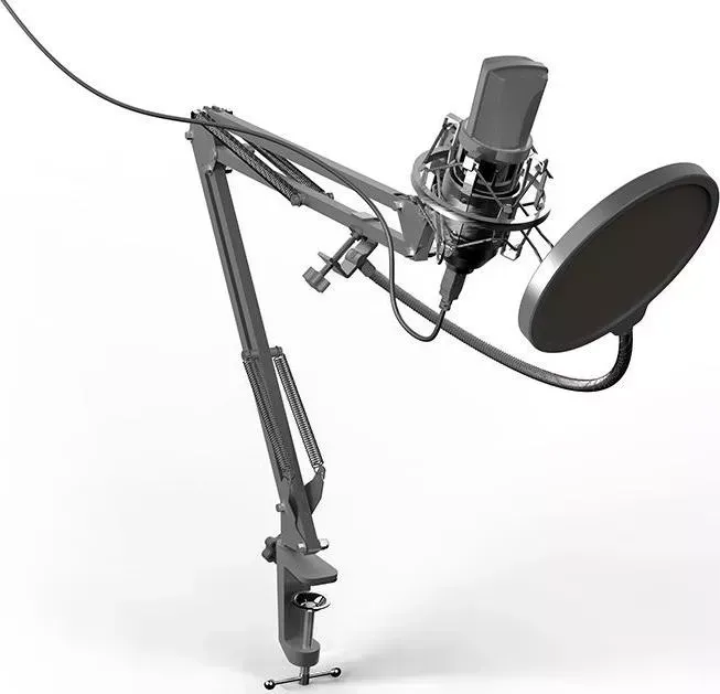 Микрофон RITMIX RDM-169 черный