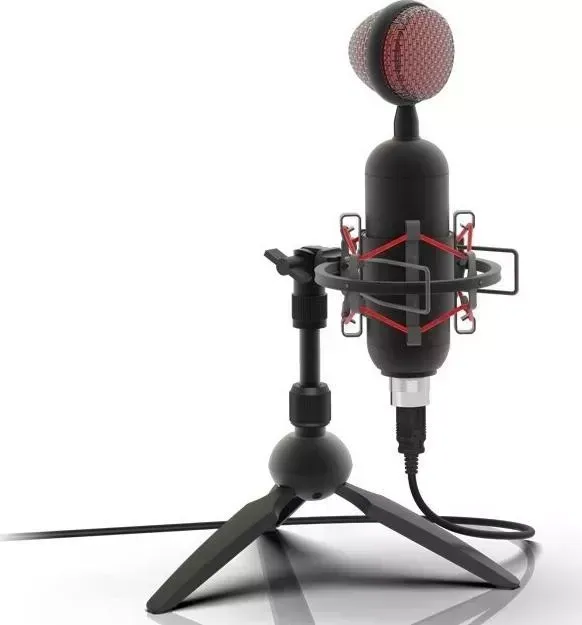 Микрофон RITMIX RDM-230 USB Eloquence черный